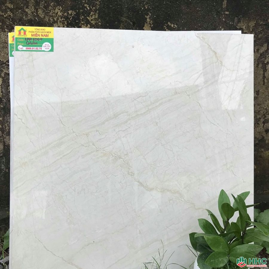 Gạch lát nền catalan 60x60 K176067